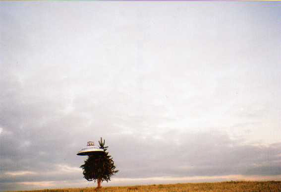 19-Full_Tree_Left